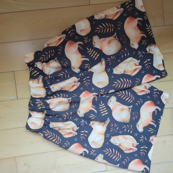 Goodfellow & Co Capybara Swim Trunks Men’s Size L Target - Picture 4 of 4